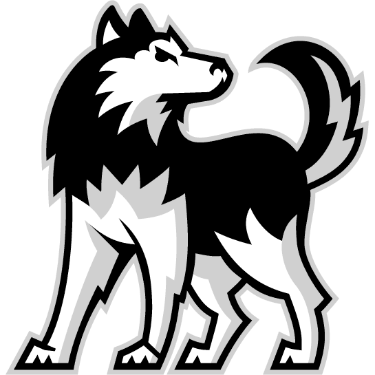 Northern Illinois Huskies 2001-Pres Alternate Logo diy fabric transfer